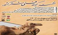 استان یزد میزبان اولین کنگره بین المللی شتر در کشور