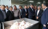 بازدید مقامات ارشد استانی از کشتارگاه شهرستان اشکذر