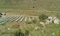  مزایای سرشماری کلنی های زنبور عسل از بیمه تا تسهیلات برای زنبورداران