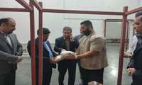 تامین کالاهای اساسی در یزد بدون دغدغه؛ بازار محصولات پروتئینی در مسیر ثبات