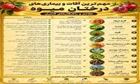 مهمترین آفات و بیماریهای درختان میوه 