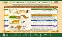 توصیه‌های علمی برای افزایش بهره‌وری پرورش شتر