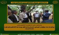 داغ سرما بر دل کشاورزان استان یزد(فیلم)