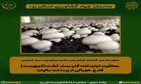 معافیت تولیدکنندگان بستر کشت (کمپوست) قارچ خوراکی از پرداخت مالیات