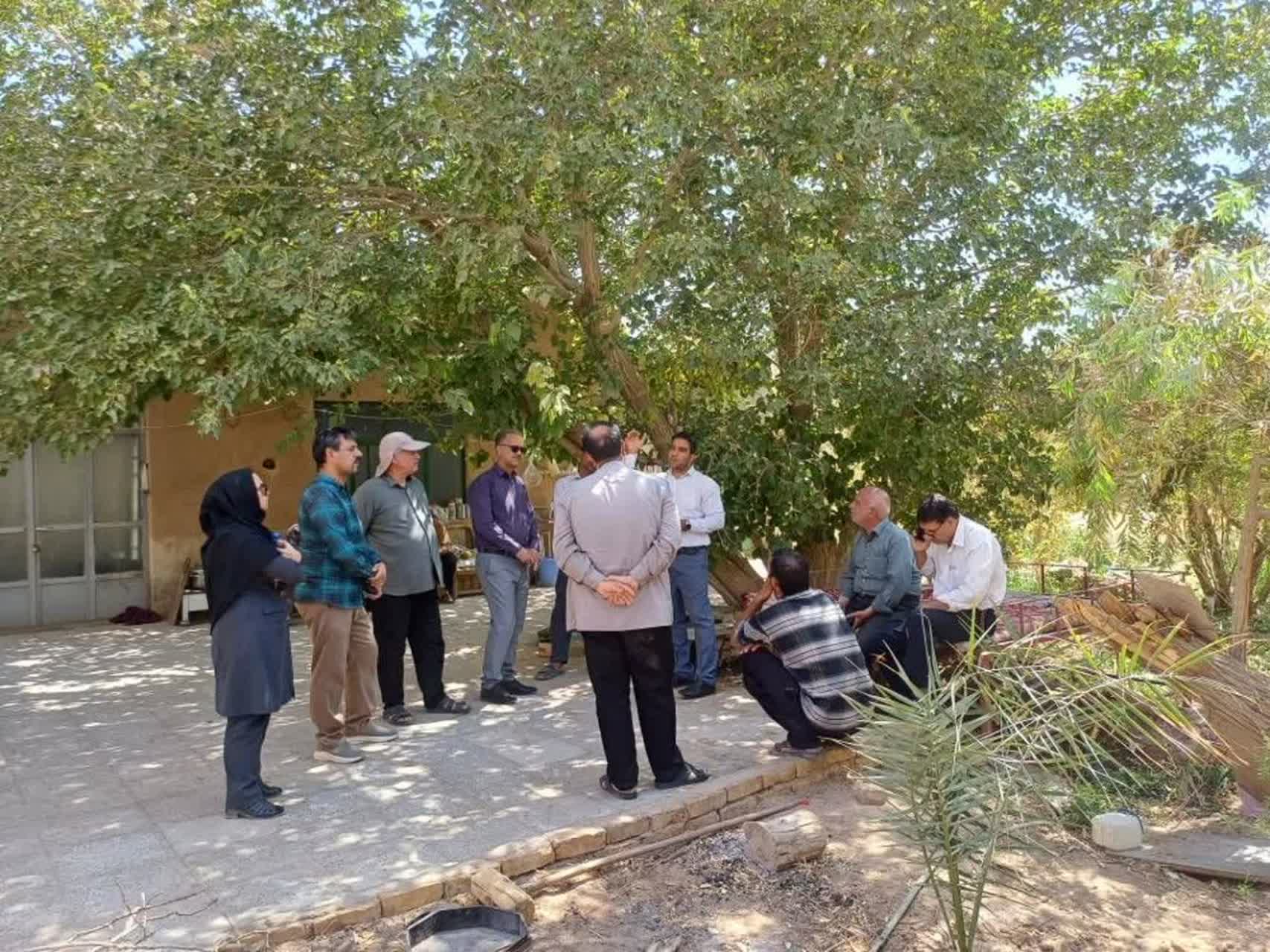 توسعه انرژی خورشیدی در چاه‌های کشاورزی زارچ؛ گامی برای کاهش هزینه‌های تولید
