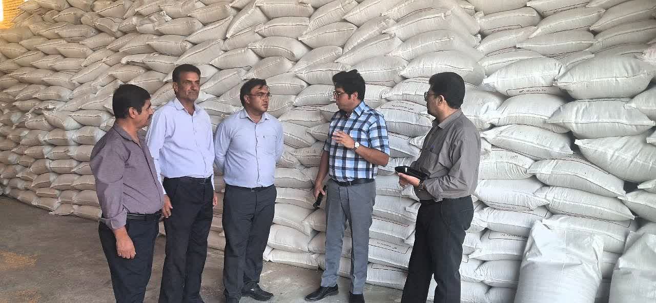 خاتم؛ قطب فرآوری و تأمین بذر گندم و جو استان یزد