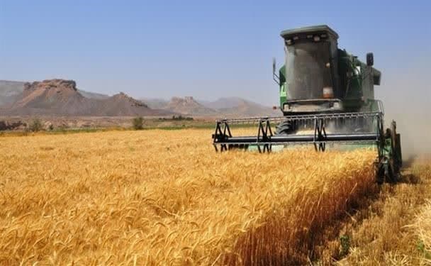 خرید گندم از مرز 5 هزارتن گذشت